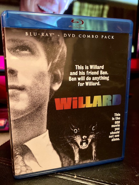 willardog.jpeg