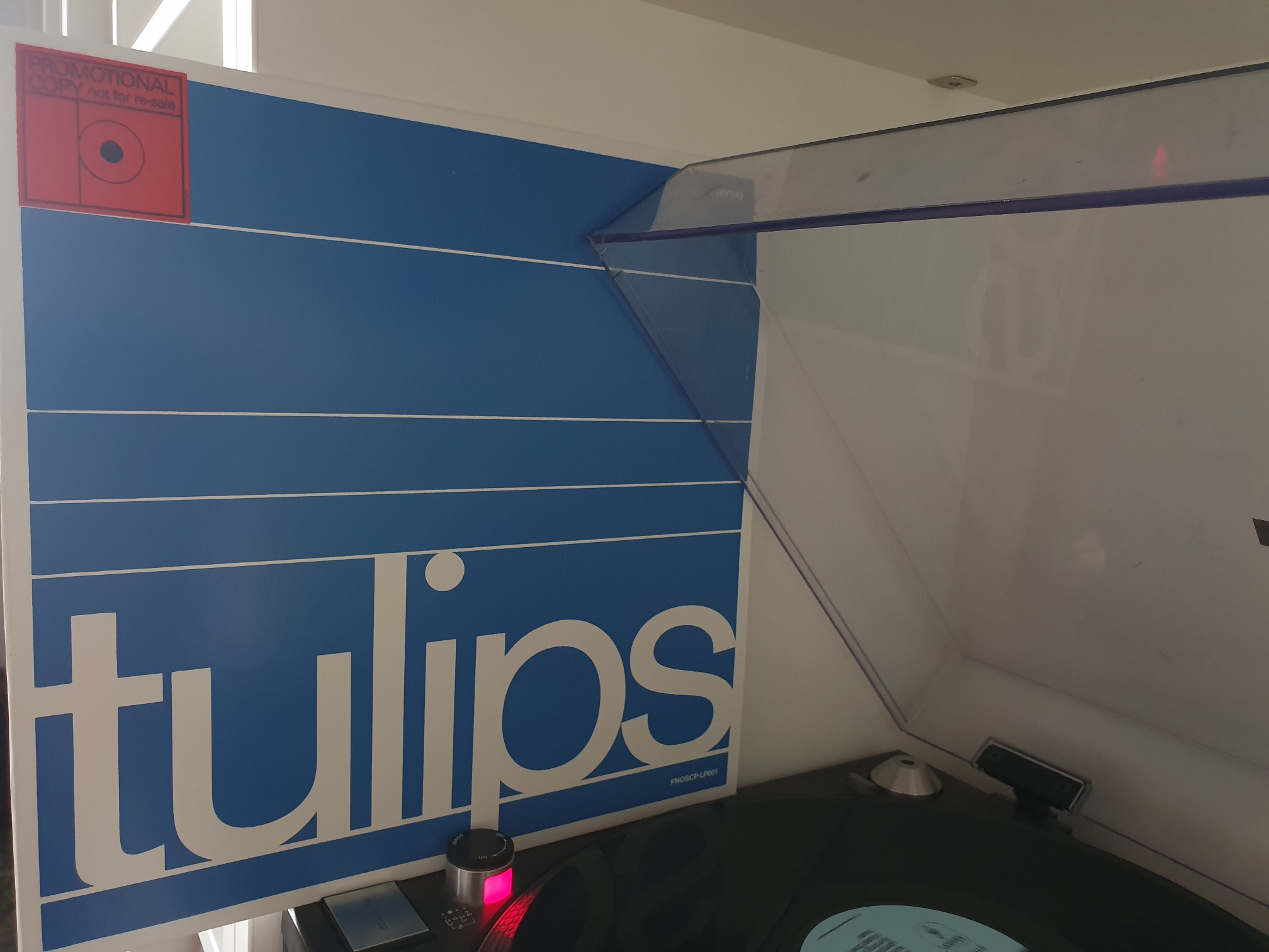 20210513_135958_resized.jpg