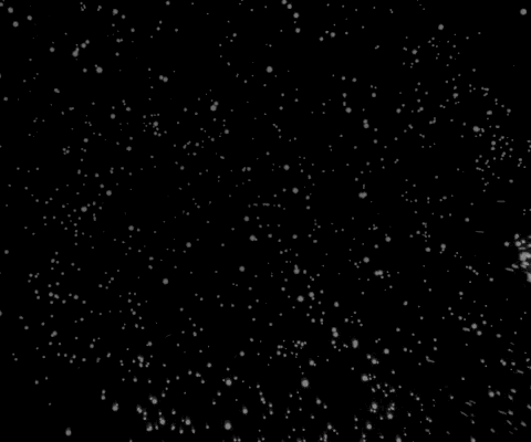 A80365C8-D06A-41BF-BE64-043CA2EA055E.gif
