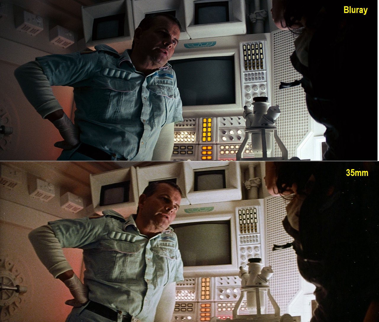 image_6483441 (2).JPG