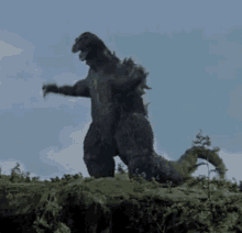 IMG_4974.gif