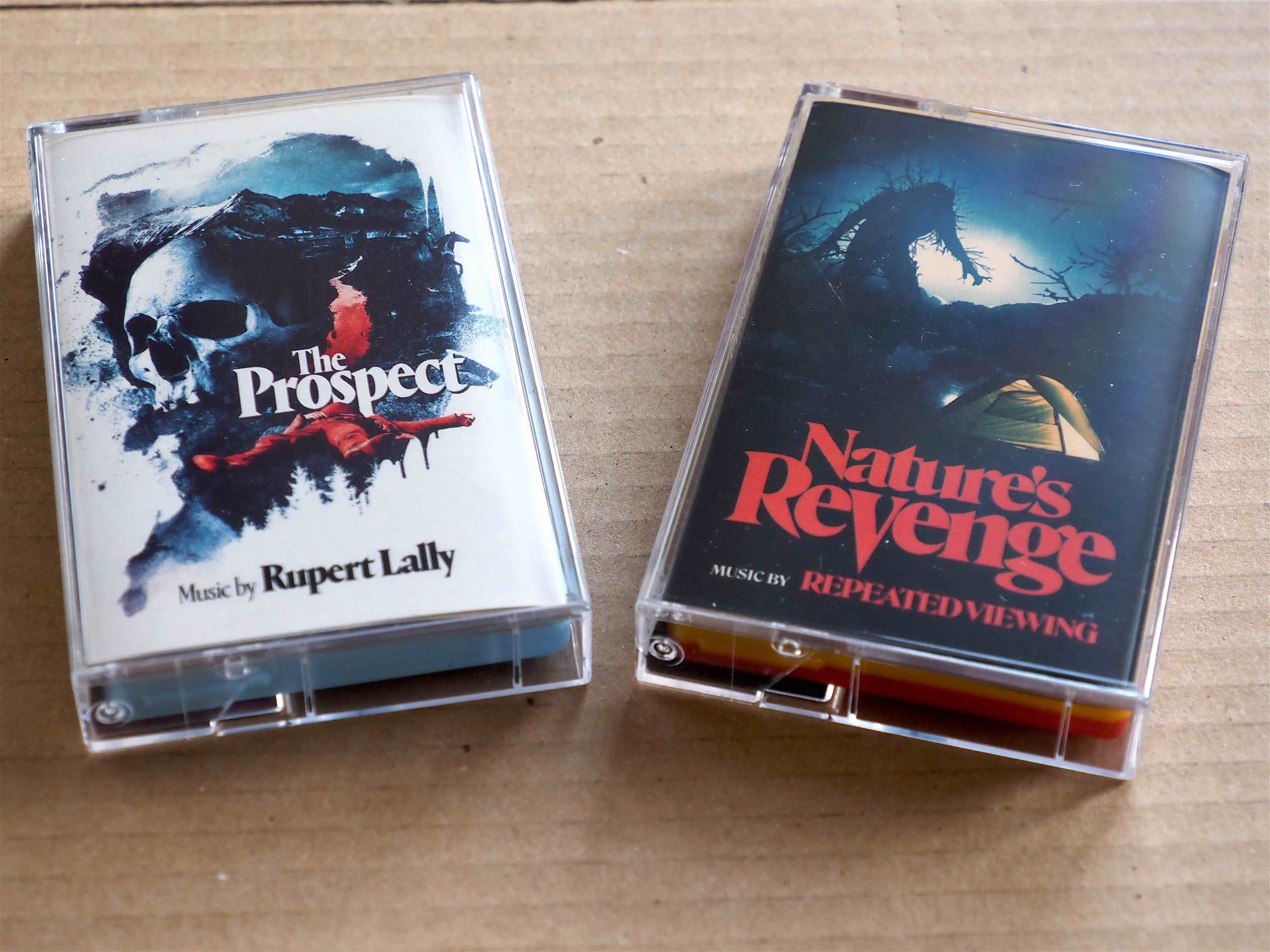 Repeated Viewing Rupert Lally copy.jpg